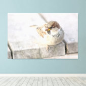 Sparrow - Nach dem transatlantischen Leinwanddruck (Insitu (Holzboden))