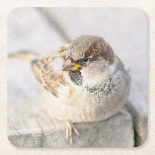 Sparrow - Nach dem transatlantischen Rechteckiger Pappuntersetzer
