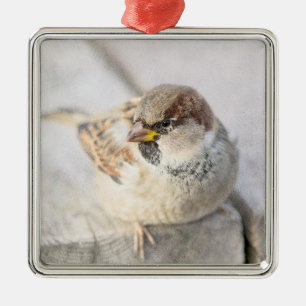 Sparrow - Nach dem transatlantischen Silbernes Ornament