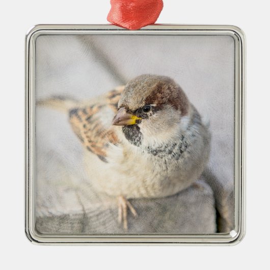 Sparrow - Nach dem transatlantischen Silbernes Ornament (Vorne)