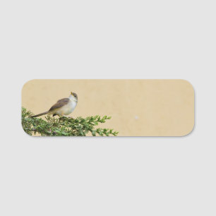 Sparrow Namensschild