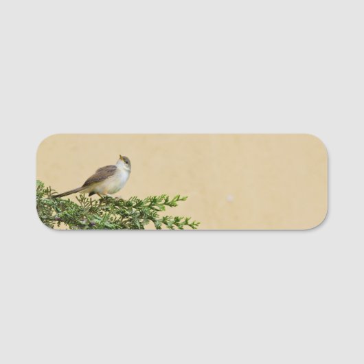 Sparrow Namensschild (Vorderseite)