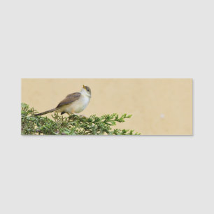 Sparrow Namensschild