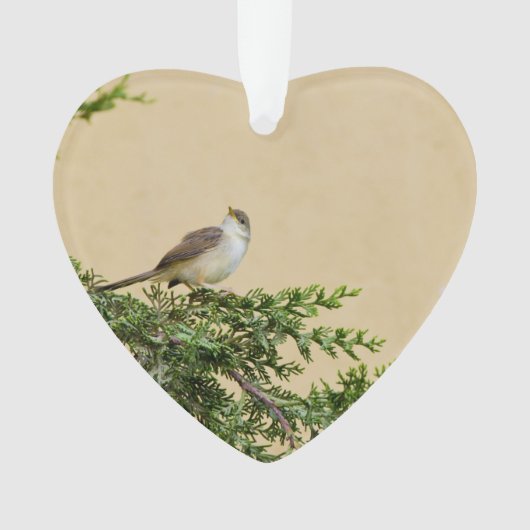 Sparrow Ornament (Vorderseite)