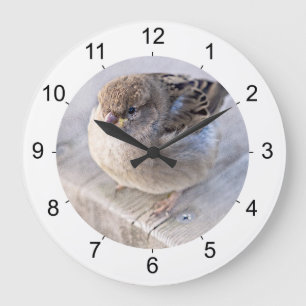 Sparrow - Overweight Große Wanduhr