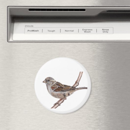 Sparrow (Passer Domesticus) Magnet (In Situ (Geschirrspüler))