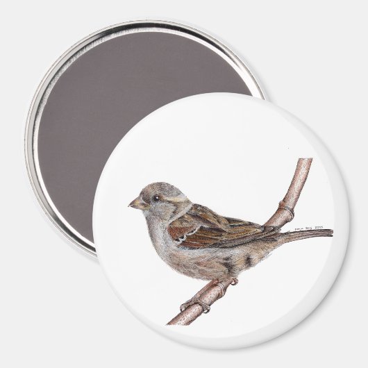 Sparrow (Passer Domesticus) Magnet (Vorderseite/Rückseite)