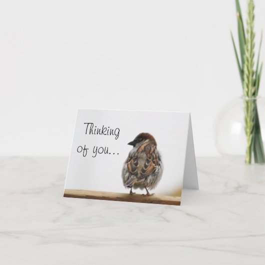 Sparrow photo karte (Vorderseite)