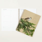 Sparrow Planer (Anzeige)