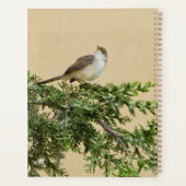 Sparrow Planer (Rückseite)