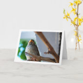 Sparrow-Porträt Karte (Gelbe Blume)