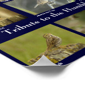 Sparrow Poster (Ecke)