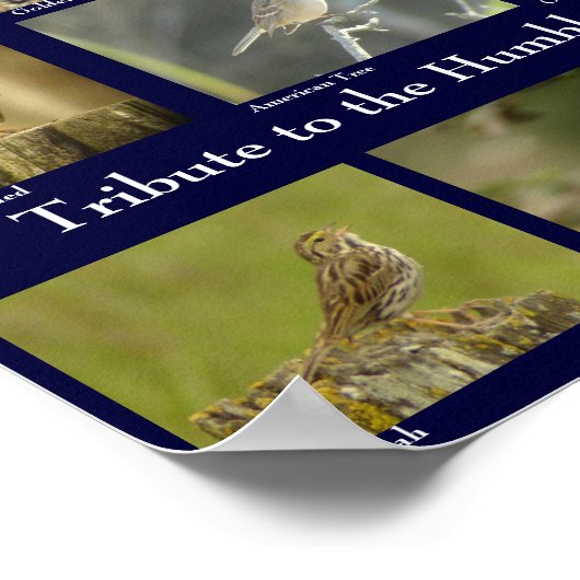 Sparrow Poster (Ecke)