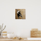 Sparrow Poster (Küche)