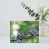 Sparrow Postkarte (Stehend Vorderseite)