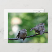 Sparrow Postkarte (Vorne/Hinten)