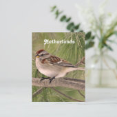 Sparrow Postkarte (Stehend Vorderseite)