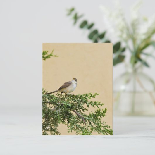 Sparrow Postkarte (Stehend Vorderseite)