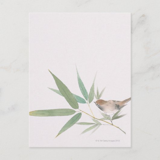 Sparrow Postkarte (Vorderseite)