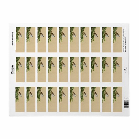 Sparrow-Postkarte (Vorne)
