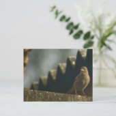 Sparrow Postkarte (Stehend Vorderseite)