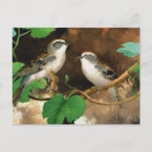 Sparrow Postkarte (Vorderseite)
