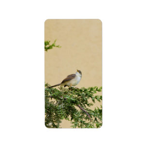 Sparrow-Postkarte Adressaufkleber