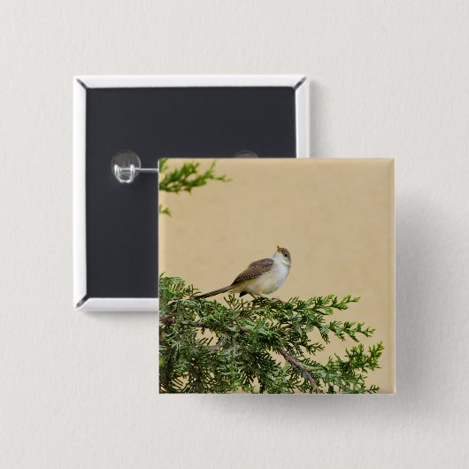 Sparrow-Postkarte Button (Vorne & Hinten)