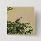 Sparrow-Postkarte Button (Vorderseite)