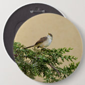 Sparrow-Postkarte Button (Vorne & Hinten)