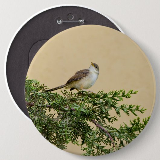Sparrow-Postkarte Button (Vorne & Hinten)