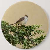 Sparrow-Postkarte Button (Vorderseite)