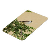 Sparrow-Postkarte Magnet (Linke Seite)