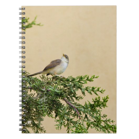 Sparrow-Postkarte Notizblock (Vorderseite)