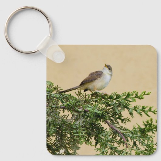 Sparrow-Postkarte Schlüsselanhänger (Vorderseite)