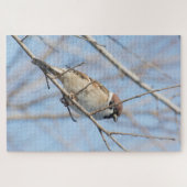 Sparrow Puzzle (Horizontal)