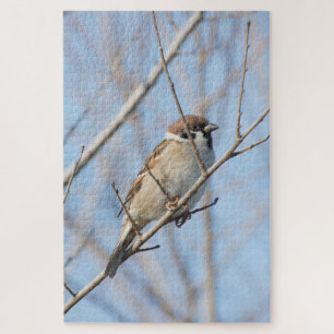 Sparrow Puzzle