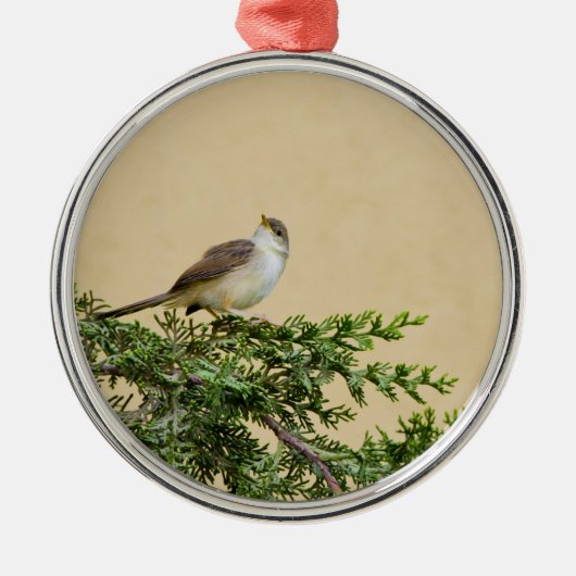 Sparrow Silbernes Ornament (Vorne)