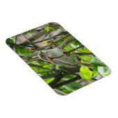 Sparrow Spring Lilacs Magnet (Rechte Seite)