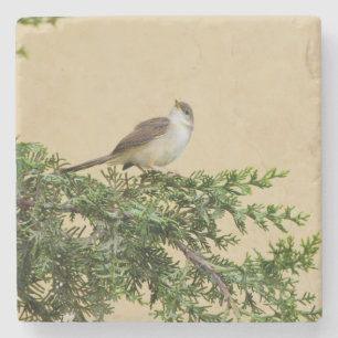 Sparrow Steinuntersetzer