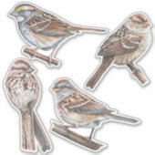 Sparrow Stickers Value Pack Aufkleber (Vorderseite)