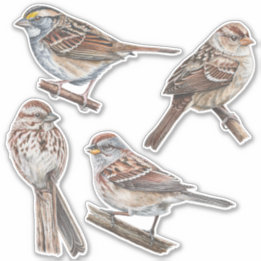 Sparrow Stickers Value Pack Aufkleber