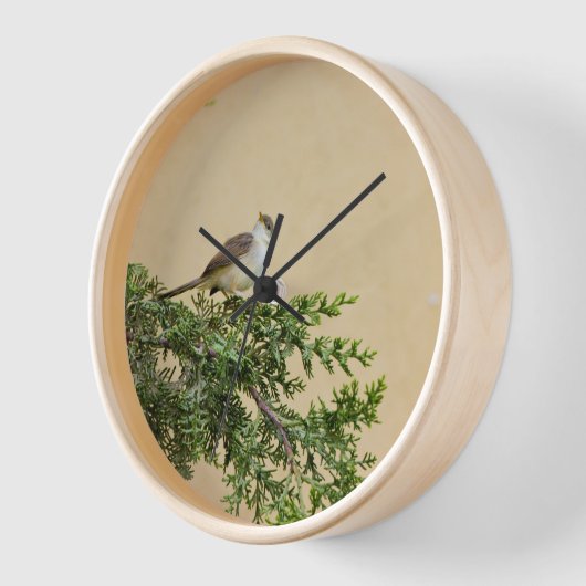 Sparrow Uhr (Winkel)