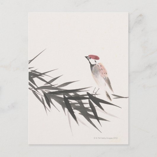 Sparrow- und Bamboo-Blätter Postkarte (Vorderseite)