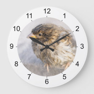Sparrow - Weather Forecast Epic Fail Große Wanduhr