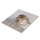 Sparrow - Wettervorhersage Epic Versag Fliese (Seite)