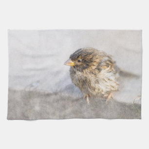 Sparrow - Wettervorhersage Epic Versag Geschirrtuch