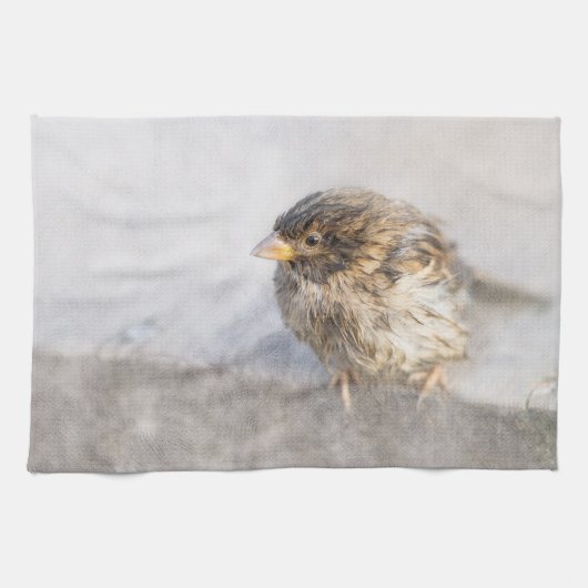 Sparrow - Wettervorhersage Epic Versag Geschirrtuch (Horizontal)
