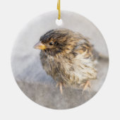 Sparrow - Wettervorhersage Epic Versag Keramikornament (Hinten)