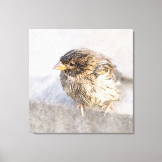 Sparrow - Wettervorhersage Epic Versag Leinwanddruck (Vorderseite)